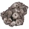 Schmuckbeutel Tumbeelluwa 1pc natürlicher Rohes Calcit -Kristall -Cluster Edelstein Steinmineralprobe unregelmäßig