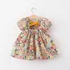 Mädchenkleider Sommeroutfits geborene Kleidung Korean süße Babyblumen Kleid Kurzarm Baumwolle Prinzessin Beach Kleinkind BC2162-1