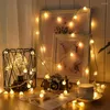 Strängar 6m 40 LED Christmas Light String Battery Frosted Ball Garland Lights Fairy Waterproof Outdoor Wedding Party