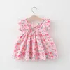 Mädchenkleider Sommer Baby Girls Boutique Outfits Koreanisch süße Blumen ärmellose Baumwolle geborenes Strandkleid Kleinkind Prinzessin BC003-1