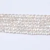 Beads Wholesale 12-13mm Natural Freshwater Strands Coin Shape Pearl