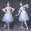 Bühnenkleidung Erwachsene Ballett Tutu Probe Praxis Rock Schwan Kostüm für Frauen Langes Tüll Romantisches Kleid Weiß Rosa Blau Farbe