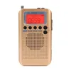 Portabla radioflygplan Fullband Radio FM AM SW CB Air VHF Receiver World Band med LCD Display Alarm Clock312p