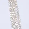 Beads Wholesale 12-13mm Natural Freshwater Strands Coin Shape Pearl