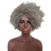 Haar-Spitze-Perücken, kleine, kurze, lockige Haare, silberfarbener Explosionskopf, Chemiefaser-Perücke, Kopfbedeckung