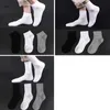 2022 Skarpetki hurtowni męskie pończochy Pure Cotton 10 Colours Sport Sockings Letter Nk Print