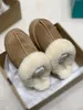 2022 dames tazz slippers bont dia's klassieke ultra mini platform laars tasman slip-on les petites su￨de wol blend comfort winter designer laarsjes 35-43 ugitys