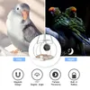Bird Cages Feeder With Camera Feeders House Wireless WiFi 1080p For Outdoor Watching Pos 221105