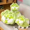 Kreatywny słodki japoński pies warzywny Plush Toys Nese Cabbage Shiba inu Brinquedos CUDDLY Animal Sofa Podusza dziecięca prezenty J220729