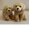 282026Cm belle simulation animal Labrador poupée en peluche Kawaii chien câlin mignon enfants décorations cadeau d'anniversaire pour les enfants J220729