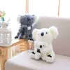 1328 Cm Kawaii Simulation Koala Câlins Koala Australien En Peluche Animal Doux Poupée Enfants Bébé Filles Beau Cadeau De Noël J220729