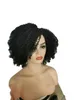 Hair Lace Wigs Small Volume Wig Women's Short Hair Black Puffy Explosive Head Chemical Fiber Headgear