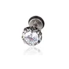 Allergifri krona zirkonstång örhängen rostfritt stål diamantörring för kvinnor män mode fina smycken