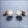 Stud Stud White Blue Green Opal Square Earrings Luxury Crystal Small Stone Rose Gold Sier Color Wedding For Women Drop Delivery Jewel Dhkps