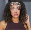 Hair Lace Wigs Ice Band Wig Women's Short Curly Hair High Temperature Silk Chemical Fiber Headband Wigs