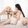 40Cm 60Cm 80Cm Simulation Labrador Cuddle Stuffed Cute Dog Animals Toy Soft Dog Cushion Cuddle Message Cushion Office Duffy Cushion J220729