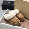 2022 dames tazz slippers bont dia's klassieke ultra mini platform laars tasman slip-on les petites su￨de wol blend comfort winter designer laarsjes 35-43 ugitys