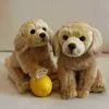 282026Cm belle simulation animal Labrador poupée en peluche Kawaii chien câlin mignon enfants décorations cadeau d'anniversaire pour les enfants J220729