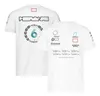 New F1 racing suit T-shirt Team Summer Short Sleeve Champion Clothes Men's Customization