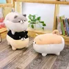 40 cm Fat Kawaii Shiba Inu Dog Cuddle Kawaii Expression Animal Corgi Dog Plush Cushion Dolls SOFA CUSHION DECOR KIDS GIFT J220729