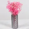 Decoratieve bloemen Gypsofiel Natuurlijke planten Boho Decor Gypsophila Flower Pasen 2022 Droge bruiloft centerpieces voor tafels gedroogd feest