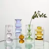 Vase Nordic Decoratory Home Glass Vase Vase Living Room Decor Hydroponic透明容器卓上現代221108