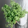 Натуральные свежие высушенные цветы Gypsophila paniculata Бессмертные букеты няни.