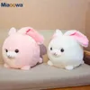 Kawaii Fat Round Angola Rabbit Plush Toys Stuffed Cute Bunny Doll Soft Animal Plush Pillow Cushion Kids Baby Sleep Beautiful gift J220729