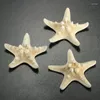 Dekorativa figurer 12 X Vit knoppstj￤rna 5 cm -7 cm Sea Star Shell Beach Wedding Display Craft Decor