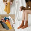 Skarpetki Hosiery Socks 2022 Autumn Nowe cienkie skarpetki załogi dla Lady New Japan Style Długie oddychanie swobodne modne miękkie wygodne kobiety T221102