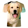 Herr t-skjortor 2022 tryckt husdjurshund t-shirts labrador retriever stort t-shirt mönster kan anpassas barn och vuxenstorlek år