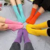 Meias chinelas de tornozelo meias algod￣o material esportivo esportivo atl￩tico Padr￣o geom￩trico Cotton Fashion Casual Adequado para as esta￧￵es da primavera outono