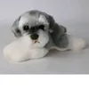 Kawaii Schnauzer Dog Cuddle Mini Soft Simulation Kids Cuddly Toy For Ldren Söta foto Props Baby Birthday Present J220729