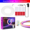 Bandes LED néon couleur de rêve RGBIC 5m 3m 12V Tuya Smart WiFi Bluetooth App musique WS2811 bande LED bricolage décor éclairage Alexa Google Home