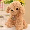 1825 cm söta verkliga liv Teddy Dog Poodle Cuddles Suffed Animal Doll för jul födelsedagspresent J220729
