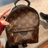 Hight quality Womens Evening Bags Backpack Mini leather book women printing backpack Palm Springs handbag Leather Brown plaid handbags Designers