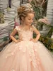 2023 Prinses Blush Roze Kant Bloemenmeisjes Jurken 3D Bloemen Bloemen Sweep Train Juweel Hals Illusie Gilrs Verkiezingsjurk Kleine Kinderen Eerste Communie Jurk