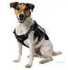Collari per cani Imbracatura tattica per cani di taglia piccola, media e grande Nessun materiale di addestramento riflettente regolabile 021