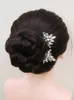 Headpieces Elegant Women Rhinestone Bridal Hairpins Tiara Wedding Hair Clips For Bride Headdress Luxury Pins 2PCS Party Hairpieces
