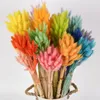 Fiori decorativi Mazzo di erba di coda secca naturale Mazzo di eucalipto Colorato Lagurus Ovatus Bouquet di fiori veri per decorazioni di nozze per la casa fai da te