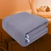 Blankets Smart Thermostat Electric Blanket Plug Economic Reusable Heating 220v Riscaldamento Home Heater