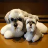 1 PC Słodki mały Schnauder Puppy Real Life Cuddle soft symulacja pies nadziewana dla dzieci lalka na ldren fotograficzne urodziny j220729