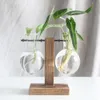 Vaser Hydroponic Plant Glass Container Simple and Creative Transparent Vase Wood Frame Design Home Living Room Desktop Decoration 221108