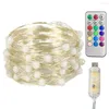 Stringhe USB LED String Lights WS2812B RGB Light Full Color indirizzabili individualmente Natale per la camera da letto della festa nuziale DC5V