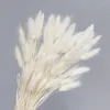 装飾的な花天然乾燥した尾草ユーカリユーカリ