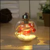 Decorazioni Natalizie Palline Di Natale A Led Ornamenti Luce Bbs Palla Appesa In Plastica Trasparente Palline Di Natale Decorazione Di Capodanno Goccia Dh4Cm