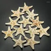 Figurines décoratives 12 X étoile de mer à boutons blancs 5Cm -7Cm étoile de mer coquille plage mariage affichage artisanat décor