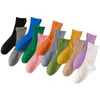 Chaussettes Bonneterie Femmes Crew Chaussettes Printemps 2022 Nouvelle Haute Qualité Coton Simple Mode Absorber La Sueur Longue Femelle Solide Couleur Chaussettes Casual Respirant T221102