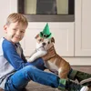 Hondenkleding St Patrick's Day Cat Hat With Collar Puppy Christmas Holiday Bib Santa Green Top voor katten kleine honden