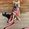 Hundhalsar Ins Mesh Pet Harness Lash Set f￶r sm￥ medelstora rosiga l￤ppar Frenchie Leashes Pug R￶da l￤ppar Vest Summer